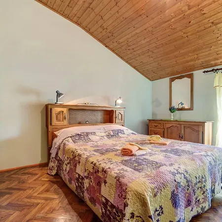 D&l In Center Daire Pula